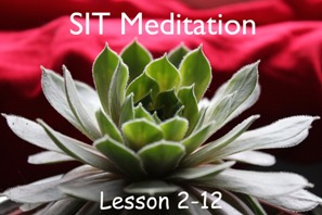SIT Meditation Program 2-12 lessons